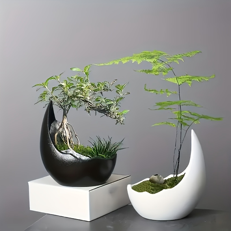 Bonsai Tree Zen Garden - Ceramiczna doniczka w kształcie półksiężyca, doniczka