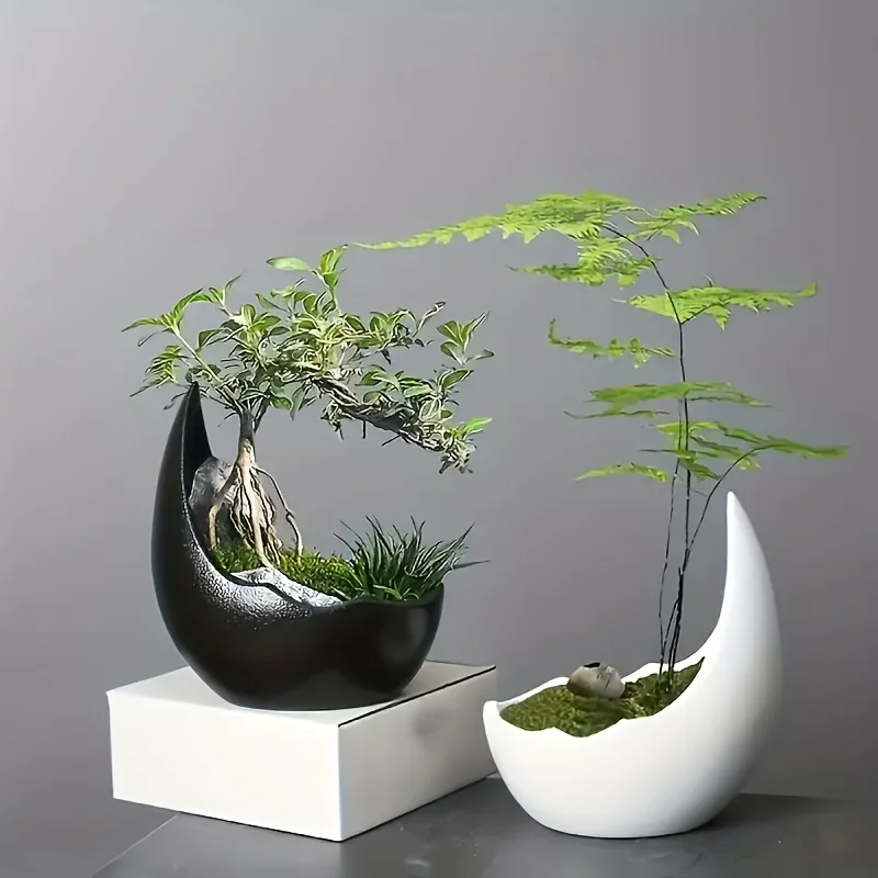 Keramiczny doniczka w kształci – Bonsai Tree Zen Garden recenzja i cena