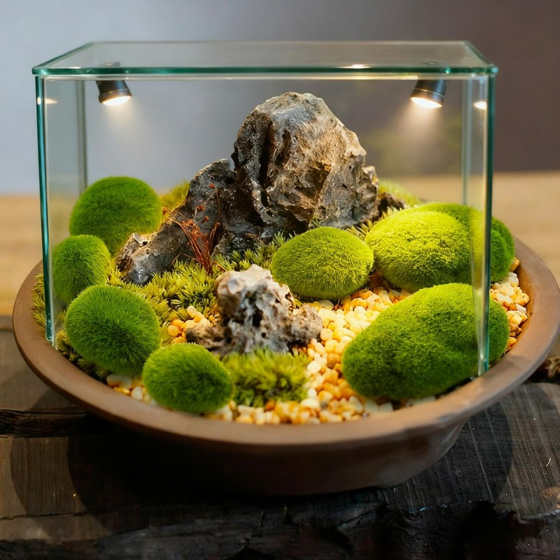 50/5 SZT. Sztuczne piankowe ka – Bonsai Rock Garden recenzja i cena